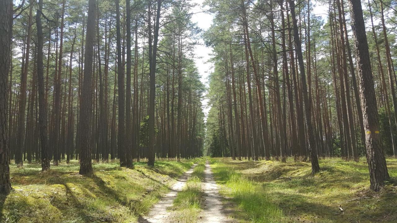 Male Gacno Borywoodヴィラ エクステリア 写真