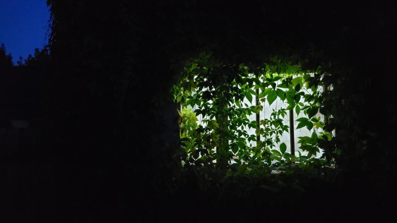 Male Gacno Borywoodヴィラ エクステリア 写真